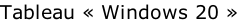 Tableau « Windows 20 »
